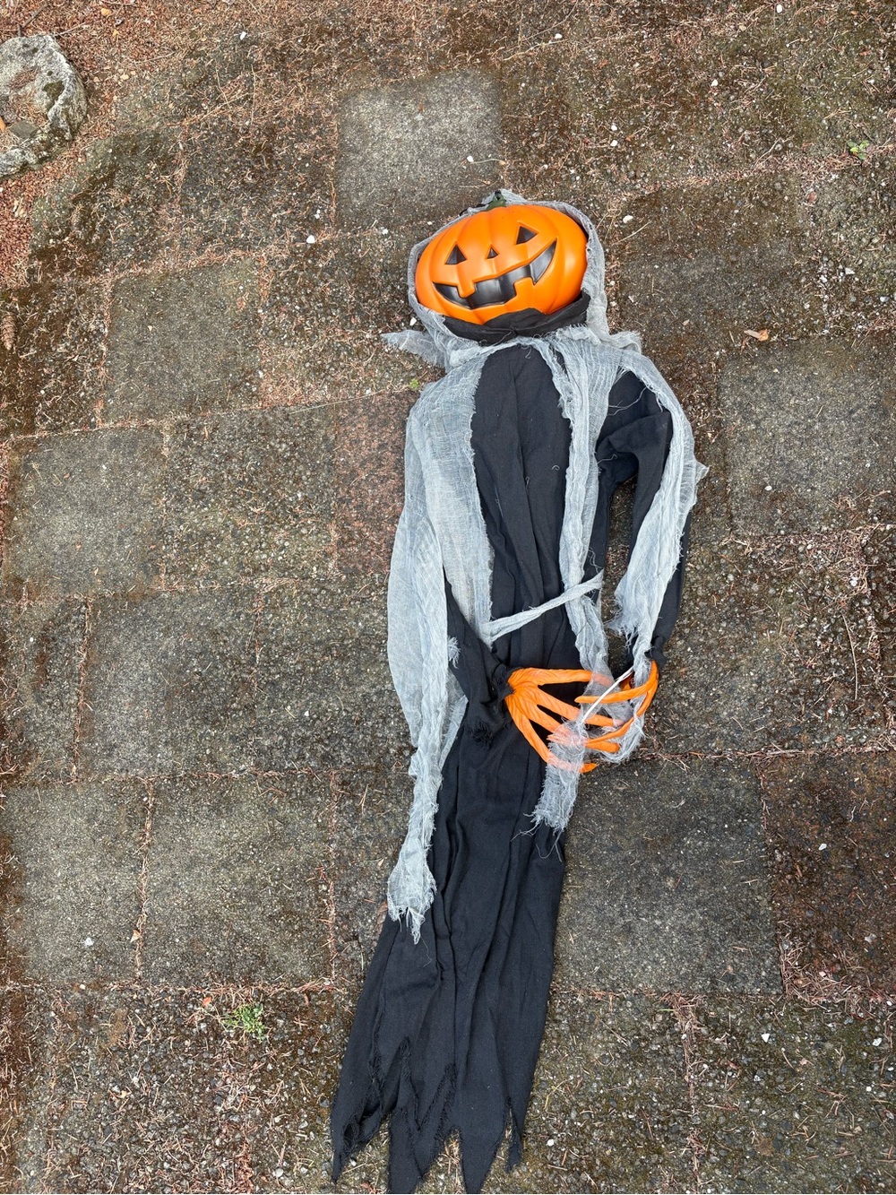 Halloween Pumpkin - Black & Orange